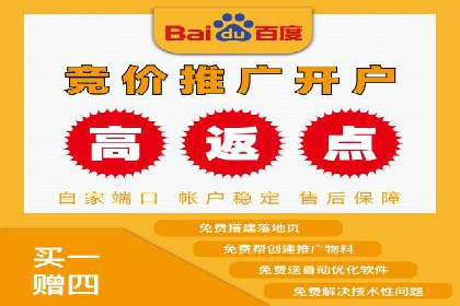 成功SEM服务案例：优化广告投放
